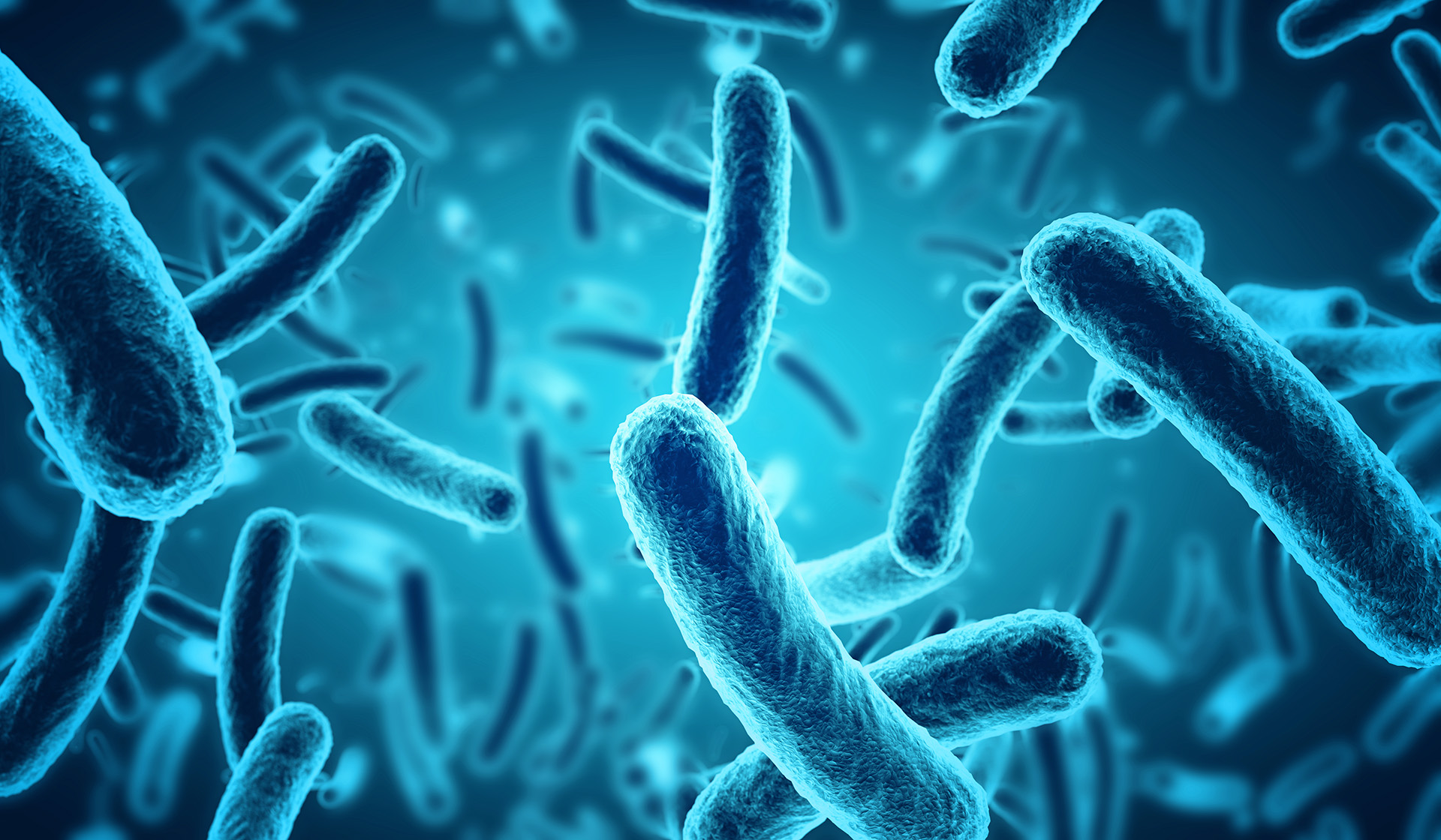 Nieuwe eisen voor Listeria monocytogenes challenge testen