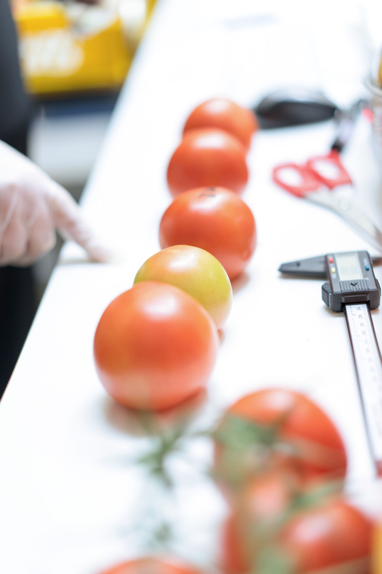 Het belang van consumentenonderzoek en monitoring voor voedselkwaliteit in de AGF 