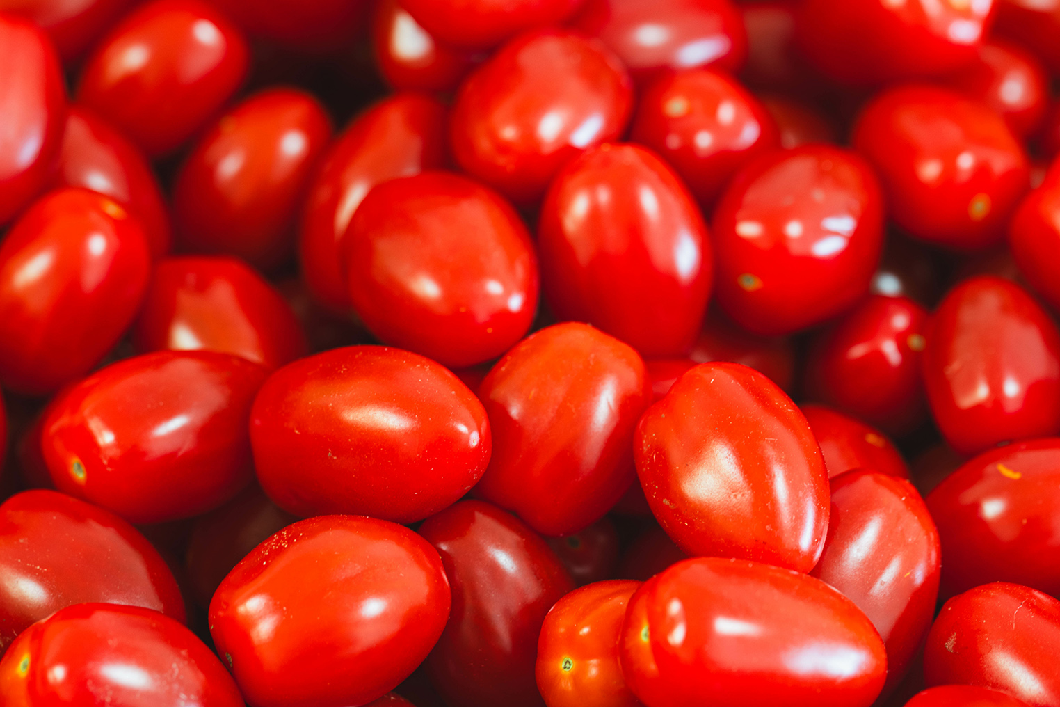 Snacktomaten: gezond, makkelijk én lekker