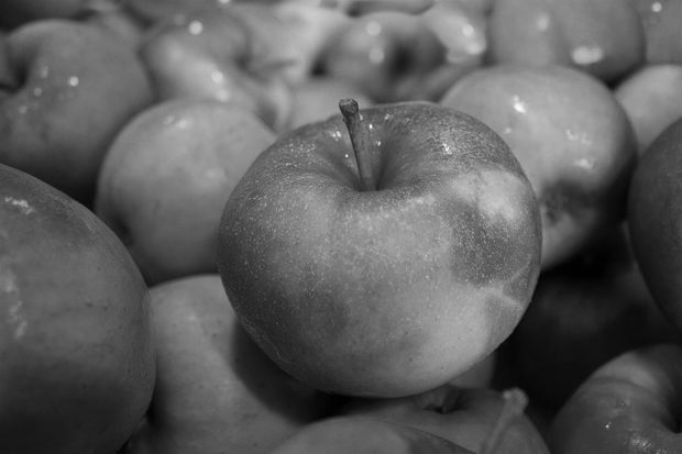 Appels
