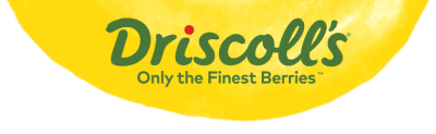 Driscolls logo