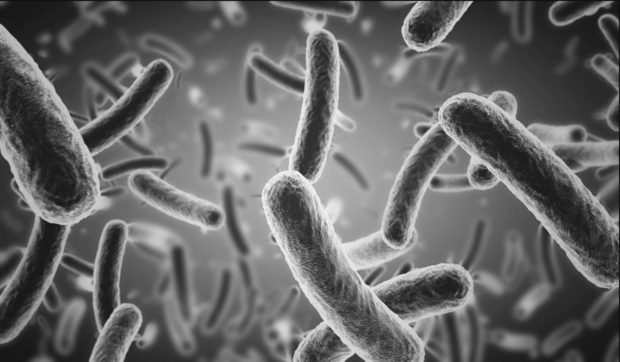 Legionella beheersplan