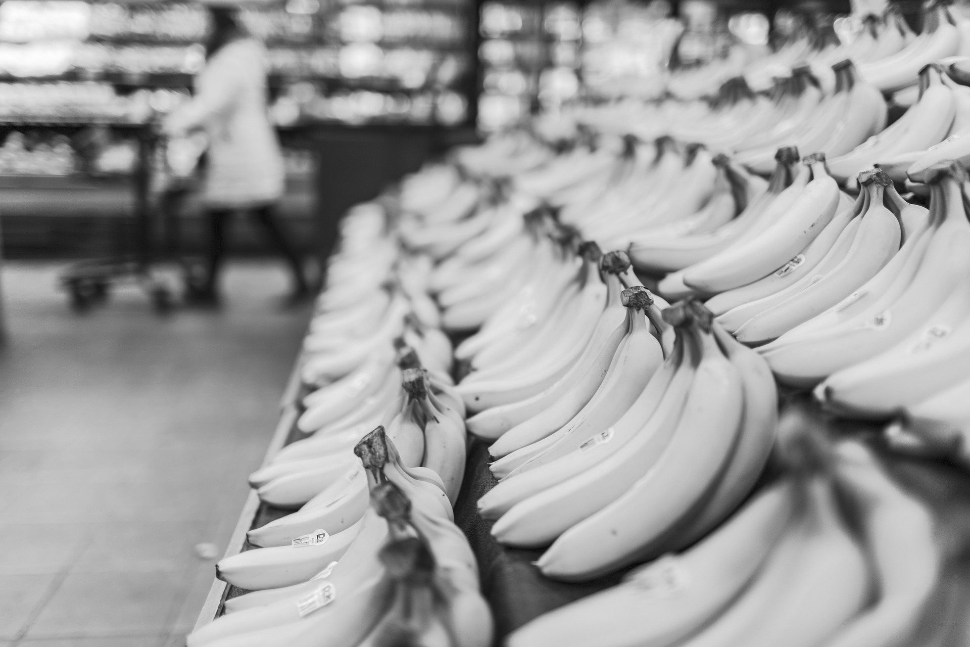 bananas-698608_1920-zw