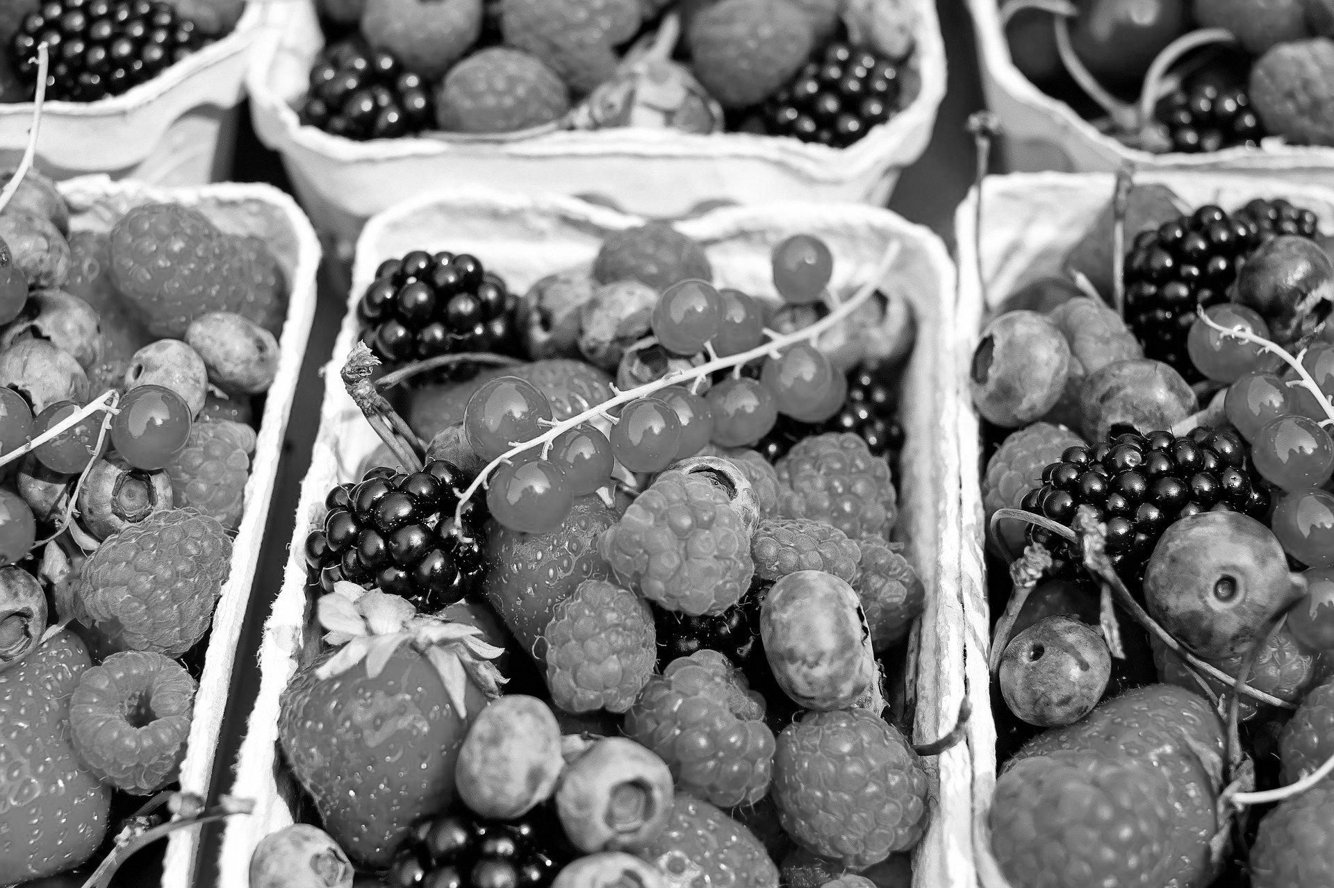 berries-1546125_1920 zw