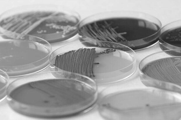 Werkzaamheidstesten Biociden