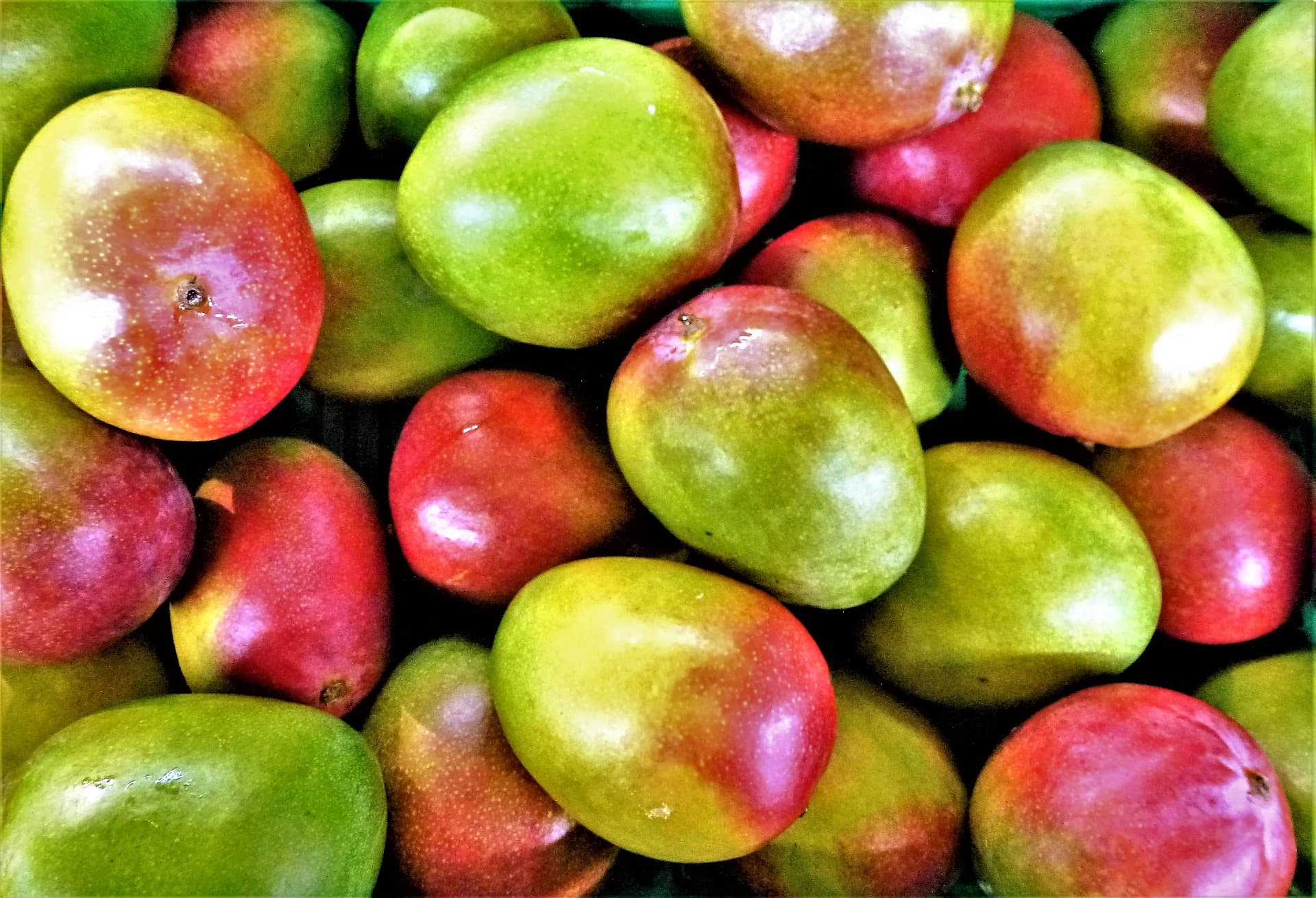 mango